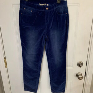 Soft Surroundings Blue Velvet Pants